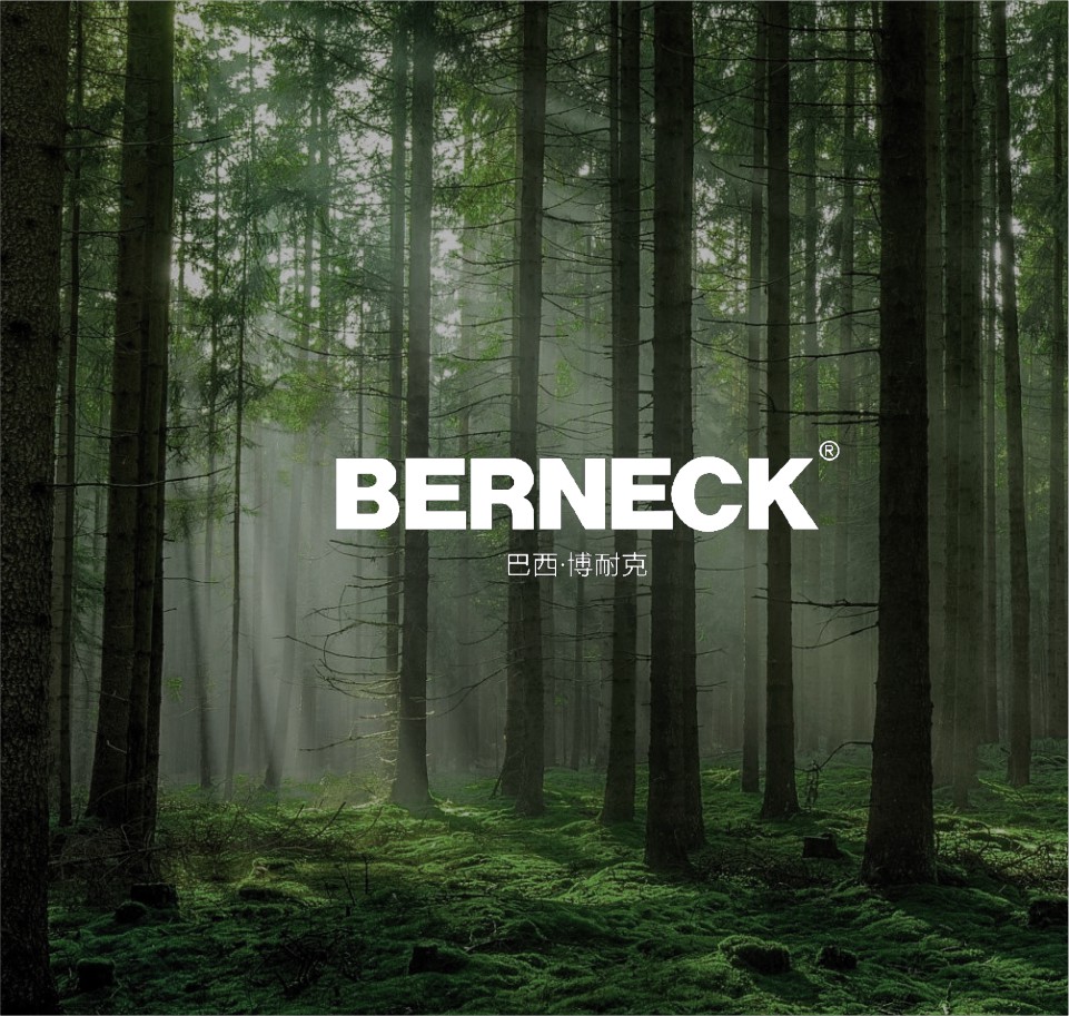 BERNECK博耐克